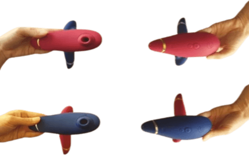 womanizer premium 2 vs premium look