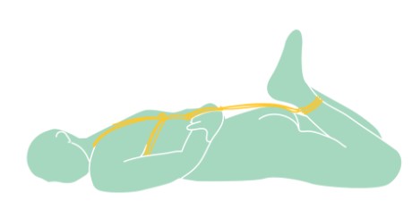 position-bdsm-attache-proc